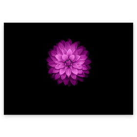 Поздравительная открытка с принтом Violet в Тюмени, 100% бумага | плотность бумаги 280 г/м2, матовая, на обратной стороне линовка и место для марки
 | лепестки | прикольные картинки | фиолетовый | цветочки | цветы