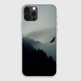 Чехол для iPhone 12 Pro с принтом Орёл в Тюмени, силикон | область печати: задняя сторона чехла, без боковых панелей | Тематика изображения на принте: горы | пейзаж | сумерки