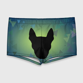 Мужские купальные плавки 3D с принтом силуэт Бультерьера в Тюмени, Полиэстер 85%, Спандекс 15% |  | Тематика изображения на принте: зеленый | силуэт | синий | собака | черный