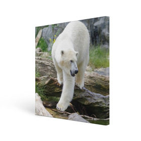 Холст квадратный с принтом Белый медведь в Тюмени, 100% ПВХ |  | арктика