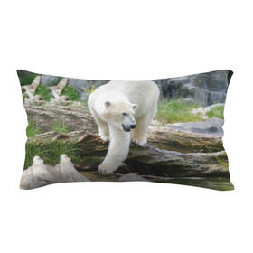Подушка 3D антистресс с принтом Белый медведь в Тюмени, наволочка — 100% полиэстер, наполнитель — вспененный полистирол | состоит из подушки и наволочки на молнии | арктика