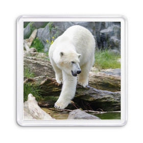 Магнит 55*55 с принтом Белый медведь в Тюмени, Пластик | Размер: 65*65 мм; Размер печати: 55*55 мм | арктика