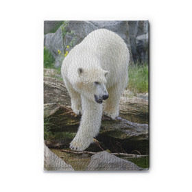 Обложка для автодокументов с принтом Белый медведь в Тюмени, натуральная кожа |  размер 19,9*13 см; внутри 4 больших “конверта” для документов и один маленький отдел — туда идеально встанут права | арктика