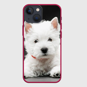 Чехол для iPhone 13 mini с принтом Вест хайленд уайт терьер в Тюмени,  |  | вест хайленд уайт терьер | животное | порода | собака