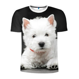 Мужская футболка 3D спортивная с принтом Вест-хайленд-уайт-терьер в Тюмени, 100% полиэстер с улучшенными характеристиками | приталенный силуэт, круглая горловина, широкие плечи, сужается к линии бедра | Тематика изображения на принте: вест хайленд уайт терьер | животное | порода | собака