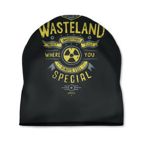 Шапка 3D с принтом Come to Wasteland в Тюмени, 100% полиэстер | универсальный размер, печать по всей поверхности изделия | atom | bomb | boy | fallout | radioactive | vault | wasteland | атом | бой | бомба | волт | мальчик | радиация | фоллаут | ядерная