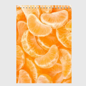 Скетчбук с принтом Мандаринки на НГ в Тюмени, 100% бумага
 | 48 листов, плотность листов — 100 г/м2, плотность картонной обложки — 250 г/м2. Листы скреплены сверху удобной пружинной спиралью | Тематика изображения на принте: 2017 | желтый | нг | новый год | фрукты