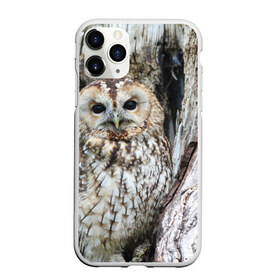 Чехол для iPhone 11 Pro матовый с принтом Маскировка в Тюмени, Силикон |  | взгляд | глаза | дерево | лес | птица | сова | сосна | текстура | филин