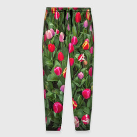 Мужские брюки 3D с принтом Тюльпанчики в Тюмени, 100% полиэстер | манжеты по низу, эластичный пояс регулируется шнурком, по бокам два кармана без застежек, внутренняя часть кармана из мелкой сетки | зеленый | поле | природа | растения | тюльпаны | цветной | цветы