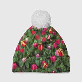 Шапка 3D c помпоном с принтом Тюльпанчики в Тюмени, 100% полиэстер | универсальный размер, печать по всей поверхности изделия | зеленый | поле | природа | растения | тюльпаны | цветной | цветы