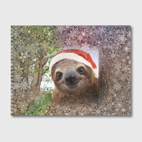 Альбом для рисования с принтом Рождественский ленивец в Тюмени, 100% бумага
 | матовая бумага, плотность 200 мг. | Тематика изображения на принте: джунгли | животное | ленивый | лень | новый год | рождество | снег | снежинки | тропики | улыбка | шапка