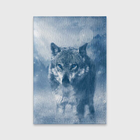 Обложка для паспорта матовая кожа с принтом Волк в Тюмени, натуральная матовая кожа | размер 19,3 х 13,7 см; прозрачные пластиковые крепления | волк | животные | зверь | собака | хищник