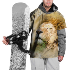 Накидка на куртку 3D с принтом Лев в Тюмени, 100% полиэстер |  | Тематика изображения на принте: зверь | лев | тигр | хищник