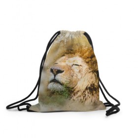Рюкзак-мешок 3D с принтом Лев в Тюмени, 100% полиэстер | плотность ткани — 200 г/м2, размер — 35 х 45 см; лямки — толстые шнурки, застежка на шнуровке, без карманов и подкладки | зверь | лев | тигр | хищник