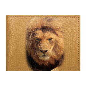 Обложка для студенческого билета с принтом Лев в Тюмени, натуральная кожа | Размер: 11*8 см; Печать на всей внешней стороне | животные | кошка | лев | тигр | хищник