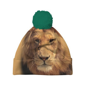 Шапка 3D c помпоном с принтом Лев в Тюмени, 100% полиэстер | универсальный размер, печать по всей поверхности изделия | животные | кошка | лев | тигр | хищник