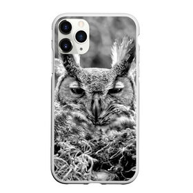 Чехол для iPhone 11 Pro матовый с принтом Филин в Тюмени, Силикон |  | bird | nest | night | nocturnal | owl | predator | гнездо | ночной | птица | сова | филин | хищник