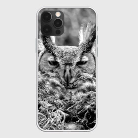 Чехол для iPhone 12 Pro Max с принтом Филин в Тюмени, Силикон |  | bird | nest | night | nocturnal | owl | predator | гнездо | ночной | птица | сова | филин | хищник