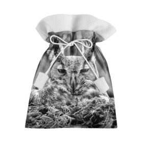 Подарочный 3D мешок с принтом Филин в Тюмени, 100% полиэстер | Размер: 29*39 см | bird | nest | night | nocturnal | owl | predator | гнездо | ночной | птица | сова | филин | хищник