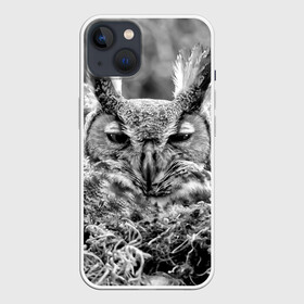 Чехол для iPhone 13 с принтом Филин в Тюмени,  |  | bird | nest | night | nocturnal | owl | predator | гнездо | ночной | птица | сова | филин | хищник