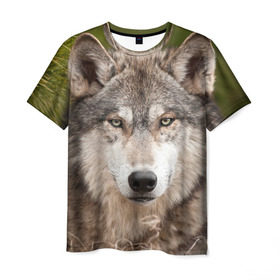 Мужская футболка 3D с принтом Волк в Тюмени, 100% полиэфир | прямой крой, круглый вырез горловины, длина до линии бедер | animal | eyes | forest | predator | wild | wolf | взгляд | волк | дикий | животное | зверь | лес | хищник