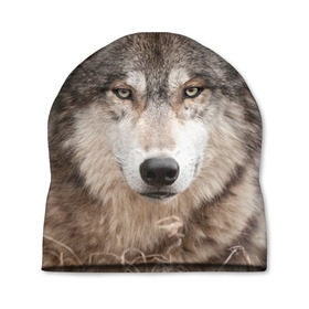 Шапка 3D с принтом Волк в Тюмени, 100% полиэстер | универсальный размер, печать по всей поверхности изделия | animal | eyes | forest | predator | wild | wolf | взгляд | волк | дикий | животное | зверь | лес | хищник