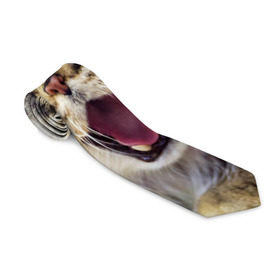 Галстук 3D с принтом Дикий кот в Тюмени, 100% полиэстер | Длина 148 см; Плотность 150-180 г/м2 | Тематика изображения на принте: animal | cat | eyes | jaws | predator | teeth | wild | взгляд | дикий | животное | клыки | кот | пасть | хищник