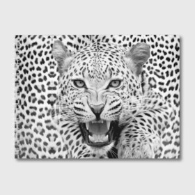 Альбом для рисования с принтом Леопард в Тюмени, 100% бумага
 | матовая бумага, плотность 200 мг. | animal | eyes | jaws | leopard | malicious | predator | spotted | teeth | wild | взгляд | дикий | животное | злой | клыки | леопард | оскал | пасть | пятнистый | хищник
