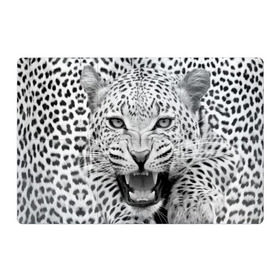 Магнитный плакат 3Х2 с принтом Леопард в Тюмени, Полимерный материал с магнитным слоем | 6 деталей размером 9*9 см | animal | eyes | jaws | leopard | malicious | predator | spotted | teeth | wild | взгляд | дикий | животное | злой | клыки | леопард | оскал | пасть | пятнистый | хищник