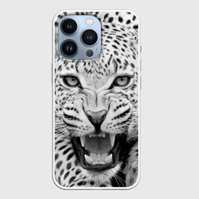 Чехол для iPhone 13 Pro с принтом Леопард в Тюмени,  |  | animal | eyes | jaws | leopard | malicious | predator | spotted | teeth | wild | взгляд | дикий | животное | злой | клыки | леопард | оскал | пасть | пятнистый | хищник