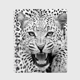 Тетрадь с принтом Леопард в Тюмени, 100% бумага | 48 листов, плотность листов — 60 г/м2, плотность картонной обложки — 250 г/м2. Листы скреплены сбоку удобной пружинной спиралью. Уголки страниц и обложки скругленные. Цвет линий — светло-серый
 | animal | eyes | jaws | leopard | malicious | predator | spotted | teeth | wild | взгляд | дикий | животное | злой | клыки | леопард | оскал | пасть | пятнистый | хищник