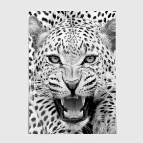 Постер с принтом Леопард в Тюмени, 100% бумага
 | бумага, плотность 150 мг. Матовая, но за счет высокого коэффициента гладкости имеет небольшой блеск и дает на свету блики, но в отличии от глянцевой бумаги не покрыта лаком | animal | eyes | jaws | leopard | malicious | predator | spotted | teeth | wild | взгляд | дикий | животное | злой | клыки | леопард | оскал | пасть | пятнистый | хищник