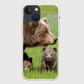 Чехол для iPhone 13 mini с принтом Медведи в Тюмени,  |  | animals | bears | children | family | green | meadow | mother | predators | дети | животные | зеленая | мама | медведи | поляна | семья | хищники