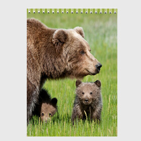 Скетчбук с принтом Медведи в Тюмени, 100% бумага
 | 48 листов, плотность листов — 100 г/м2, плотность картонной обложки — 250 г/м2. Листы скреплены сверху удобной пружинной спиралью | animals | bears | children | family | green | meadow | mother | predators | дети | животные | зеленая | мама | медведи | поляна | семья | хищники