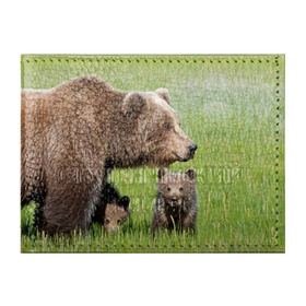 Обложка для студенческого билета с принтом Медведи в Тюмени, натуральная кожа | Размер: 11*8 см; Печать на всей внешней стороне | animals | bears | children | family | green | meadow | mother | predators | дети | животные | зеленая | мама | медведи | поляна | семья | хищники