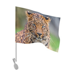 Флаг для автомобиля с принтом Леопард в Тюмени, 100% полиэстер | Размер: 30*21 см | animal | leopard | look | predator | spotted | wild | взгляд | дикий | животное | леопард | пятнистый | хищник