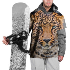 Накидка на куртку 3D с принтом Леопард в Тюмени, 100% полиэстер |  | animal | leopard | look | predator | spotted | wild | взгляд | дикий | животное | леопард | пятнистый | хищник