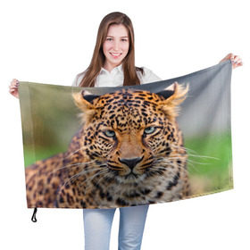 Флаг 3D с принтом Леопард в Тюмени, 100% полиэстер | плотность ткани — 95 г/м2, размер — 67 х 109 см. Принт наносится с одной стороны | animal | leopard | look | predator | spotted | wild | взгляд | дикий | животное | леопард | пятнистый | хищник