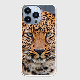 Чехол для iPhone 13 Pro с принтом Леопард в Тюмени,  |  | Тематика изображения на принте: animal | leopard | look | predator | spotted | wild | взгляд | дикий | животное | леопард | пятнистый | хищник