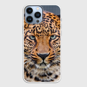 Чехол для iPhone 13 Pro Max с принтом Леопард в Тюмени,  |  | animal | leopard | look | predator | spotted | wild | взгляд | дикий | животное | леопард | пятнистый | хищник