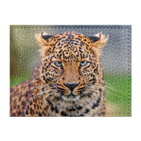 Обложка для студенческого билета с принтом Леопард в Тюмени, натуральная кожа | Размер: 11*8 см; Печать на всей внешней стороне | animal | leopard | look | predator | spotted | wild | взгляд | дикий | животное | леопард | пятнистый | хищник