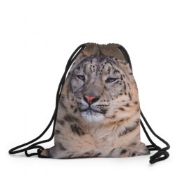 Рюкзак-мешок 3D с принтом Леопард в Тюмени, 100% полиэстер | плотность ткани — 200 г/м2, размер — 35 х 45 см; лямки — толстые шнурки, застежка на шнуровке, без карманов и подкладки | animal | leopard | look | predator | spotted | wild | взгляд | дикий | животное | леопард | пятнистый | хищник