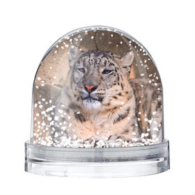 Снежный шар с принтом Леопард в Тюмени, Пластик | Изображение внутри шара печатается на глянцевой фотобумаге с двух сторон | animal | leopard | look | predator | spotted | wild | взгляд | дикий | животное | леопард | пятнистый | хищник