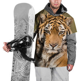 Накидка на куртку 3D с принтом Тигр в Тюмени, 100% полиэстер |  | Тематика изображения на принте: animal | predator | striped | tiger | view | wild | взгляд | дикий | животное | полосатый | тигр | хищник