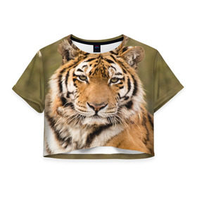 Женская футболка 3D укороченная с принтом Тигр в Тюмени, 100% полиэстер | круглая горловина, длина футболки до линии талии, рукава с отворотами | animal | predator | striped | tiger | view | wild | взгляд | дикий | животное | полосатый | тигр | хищник