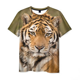 Мужская футболка 3D с принтом Тигр в Тюмени, 100% полиэфир | прямой крой, круглый вырез горловины, длина до линии бедер | Тематика изображения на принте: animal | predator | striped | tiger | view | wild | взгляд | дикий | животное | полосатый | тигр | хищник