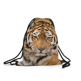 Рюкзак-мешок 3D с принтом Тигр в Тюмени, 100% полиэстер | плотность ткани — 200 г/м2, размер — 35 х 45 см; лямки — толстые шнурки, застежка на шнуровке, без карманов и подкладки | animal | predator | striped | tiger | view | wild | взгляд | дикий | животное | полосатый | тигр | хищник