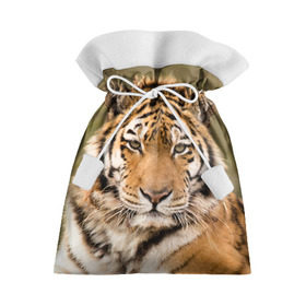 Подарочный 3D мешок с принтом Тигр в Тюмени, 100% полиэстер | Размер: 29*39 см | Тематика изображения на принте: animal | predator | striped | tiger | view | wild | взгляд | дикий | животное | полосатый | тигр | хищник