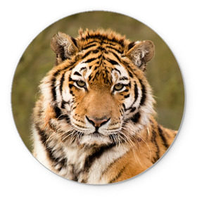 Коврик круглый с принтом Тигр в Тюмени, резина и полиэстер | круглая форма, изображение наносится на всю лицевую часть | Тематика изображения на принте: animal | predator | striped | tiger | view | wild | взгляд | дикий | животное | полосатый | тигр | хищник
