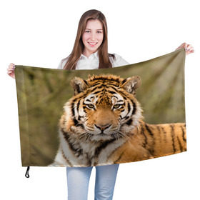 Флаг 3D с принтом Тигр в Тюмени, 100% полиэстер | плотность ткани — 95 г/м2, размер — 67 х 109 см. Принт наносится с одной стороны | animal | predator | striped | tiger | view | wild | взгляд | дикий | животное | полосатый | тигр | хищник